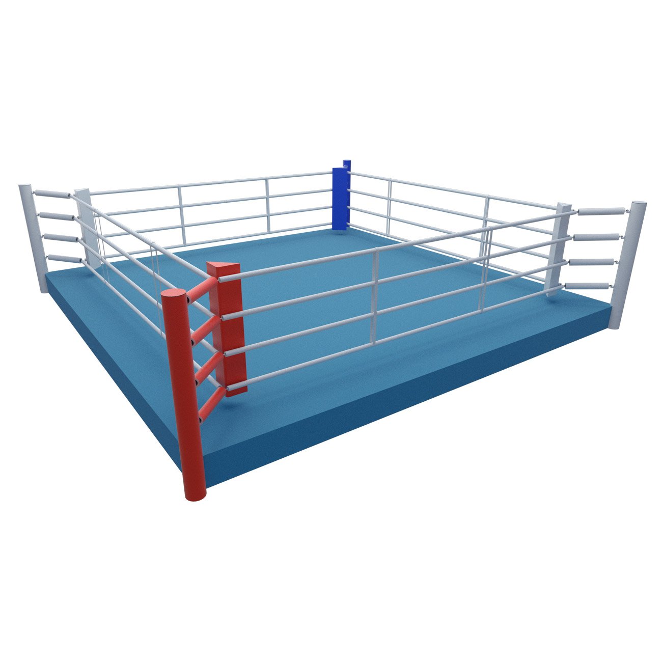 Four ropes boxing online gym